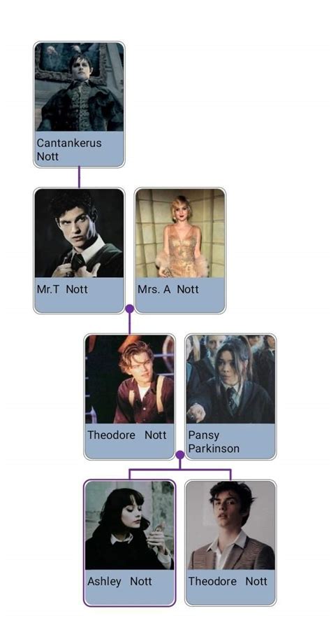 theodore harry potter|theodore nott family tree.